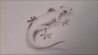 3D drawing a lizard | 3D art tricks | step by step