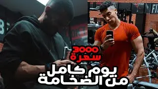 يوم كامل من وجبات و تمرين الضخامة / ايفولف علي قديمه / 3000سعرة Vlog