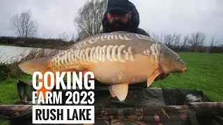 36hrs on Coking Farm Fishery, rush lake. 2023