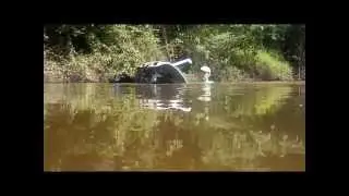 Copiah creek 6/7/14