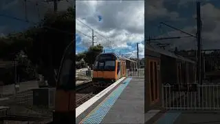 Suburban Oscar H44 On T4 Line #fyp #recommended #sydneytrains