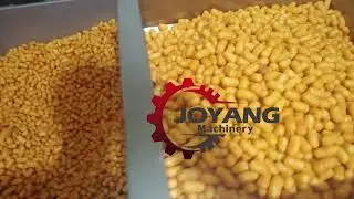 Corn Puffs Snacks Production Line
