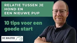Hoe zorg je voor een goede relatie tussen jouw hond en pup