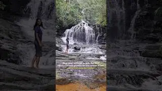 Camping Weekend Itinerary | Chennai  Getaway| Exoticamp #gavi #kumily  #chennaicamping #exoticamp