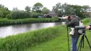 Greetings from Texel