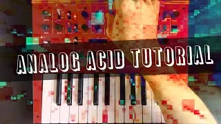 Building an Acid patch from scratch on the Korg Monologue & producing Techno