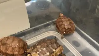 Super Soak!