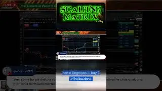 Il navigatore che ti protegge  #scalpingmatrix #trading #tuttipazzipermatrix #datipersonali