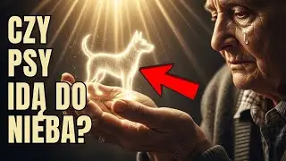 Co Dzieje Się Z Duszami Ps&oacute;w W Pierwszych Dniach Po Śmierci?