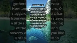 Journey of faith and spiritual growth | Proverbs 6:6-11 Daily Bible Verse