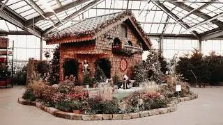 Schilliger Garden Centre - Coucou G&eacute;ant Suisse