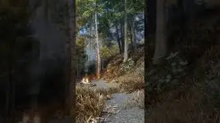 Skyrim 2023 Photorealistic Remake  - Very Atmospheric Forest..  #skyrim2023  #photorealism