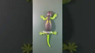 Pranking My Dad With An RC Gecko!
