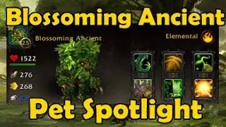 Blossoming Ancient - Pet Spotlight