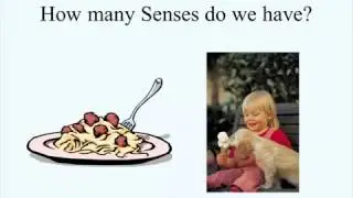 Sensory Processing Challenges and Participation in Home and School Activities