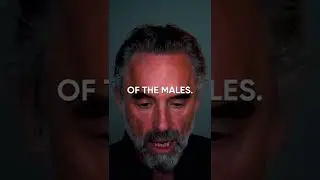 How ANTISOCIAL People are Formed - Jordan Peterson
