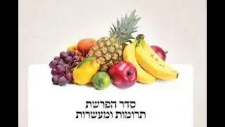 Israel Trip Report - A Halachic Overview | AUDIO | Rabbi Eliyahu Rapoport