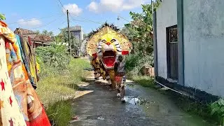 Kirab barongan suto wijoyo dan drumband srikandi live bumiharjo guntur demak