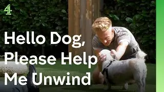 Paralympian David hopes a dog will help with life after athletics | The Dog House 🐶 | Dog Stories