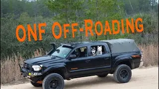 Off Roading Fun in The Ocala National Forest