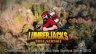 Lumberjacks Tree Service 
