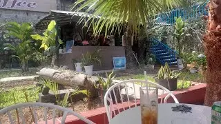 Start cafe Nha Trang view núi thoáng mát. Hẻm 3 Nguyễn Chích. Cá cảnh Tháp Bà 40 Ngô Đến