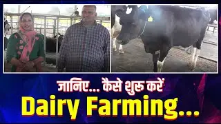जानिए  कैसे शुरू करें Dairy Farming | Sushma Dairy Farm | Krishi Jagran