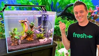 EASY Beginner Aquarium Kit: Start Your Journey Here!