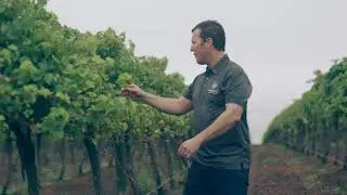 Paul Burnett - Banrock Station - Riverland