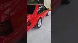 #mustang #2026 #car #shelby #sound #fast #shorts #drift #sports #explore #old #black_rose#music 🎷🎶