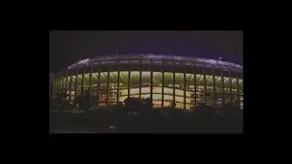 Pebble Brain - Lovejoy but you're outside the stadium because you are broke