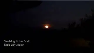 Walking in the Dark - Music by Dale Jay Meier