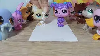 Lps: Süti Tehetségkutató🫶✨ 1. Rész