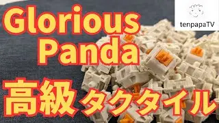 Glorious Panda Tactile Switches Review! Very Hight Quality Tactile Switch