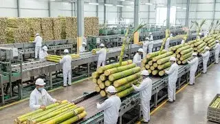 From Fresh Sugarcane to Crystal Sugar &mdash; Inside the Cane Sugar Factory