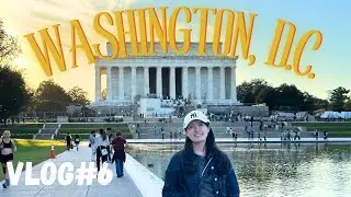 美國華盛頓 D.C. 旅遊Vlog必逛自然史博物館、林肯紀念堂、史密森尼藝術博物館行程推薦
