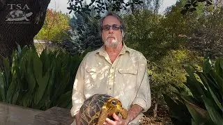 A Message from TSA President, Rick Hudson