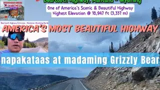 Exploring America's Beautiful Highway | Beartooth Highway Scenic Road | Grizzly Bear Country