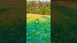 Green Germany