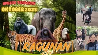 Ragunan Zoo terbaru 2025 Part 1 | Wisata Murah Jakarta | tempat wisata Favorit keluarga