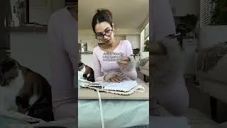 Может кто-нибудь изобрести функцию отмены действия и масштабирования, которая будет работать в ре...