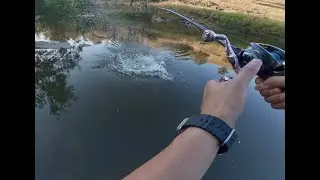 8 Hours driving, 3 hours topwater casting - Murray Cod or Nothing.
