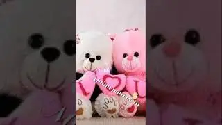 happy teddy day 2012 new what's app status 🥰🐻
