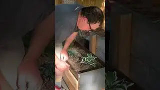 Floating steel planter P. 2