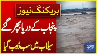 Punjab&rsquo;s Rivers Overflow, Everything Submerged in Floods | Breaking News | Dawn News