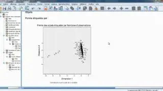 Formation SPSS : Analyse en Correspondance Multiple (ACM)