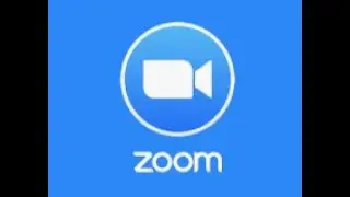 Zoom Stock is Falling. Know what's next.