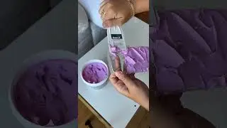diy seashell phone case