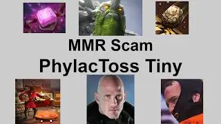 MMR Scam: PhylacToss Tiny