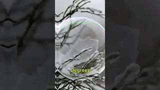 ❄️ The Coldest Place on Earth! ❄️